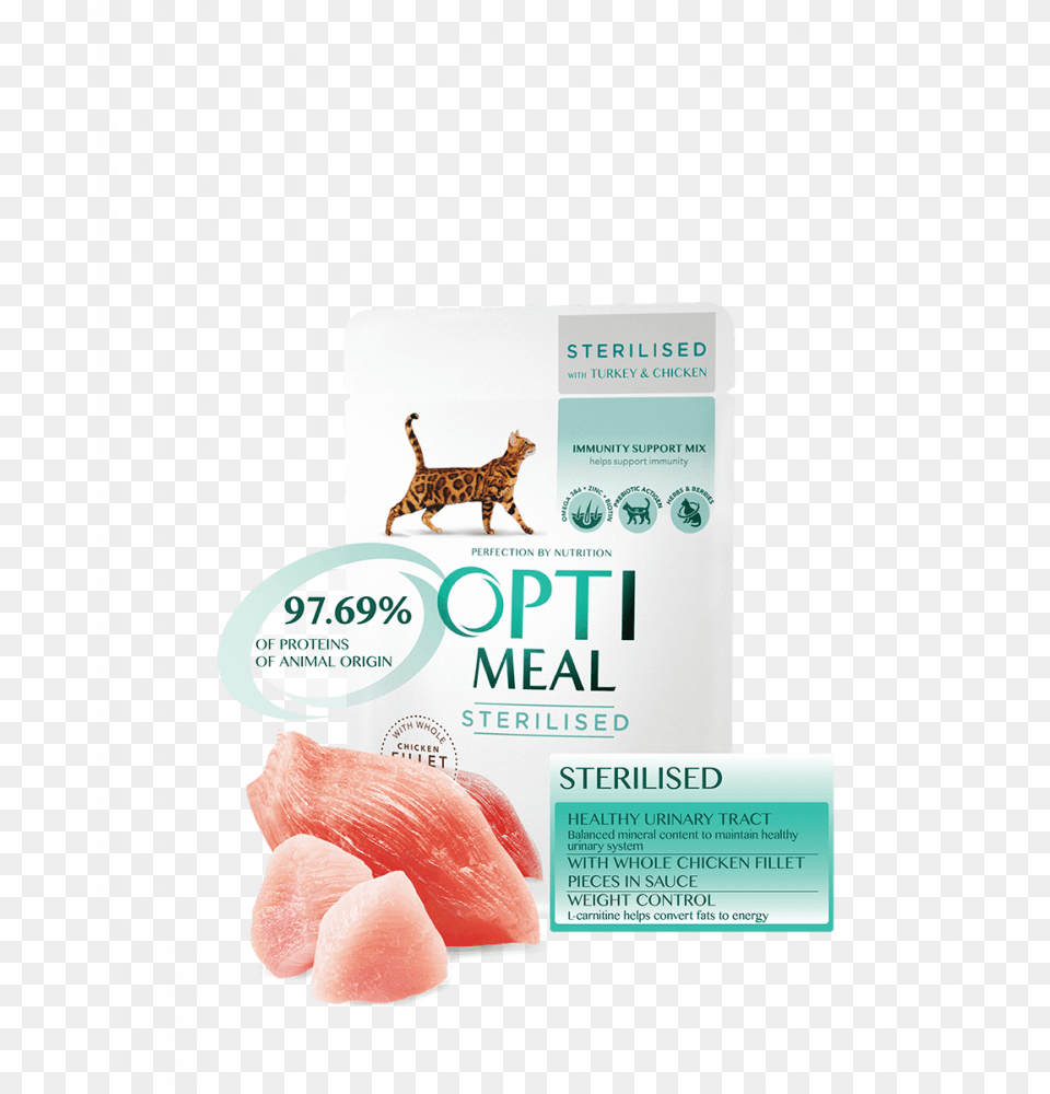 Fillet, Advertisement, Poster, Animal, Cat Free Transparent Png