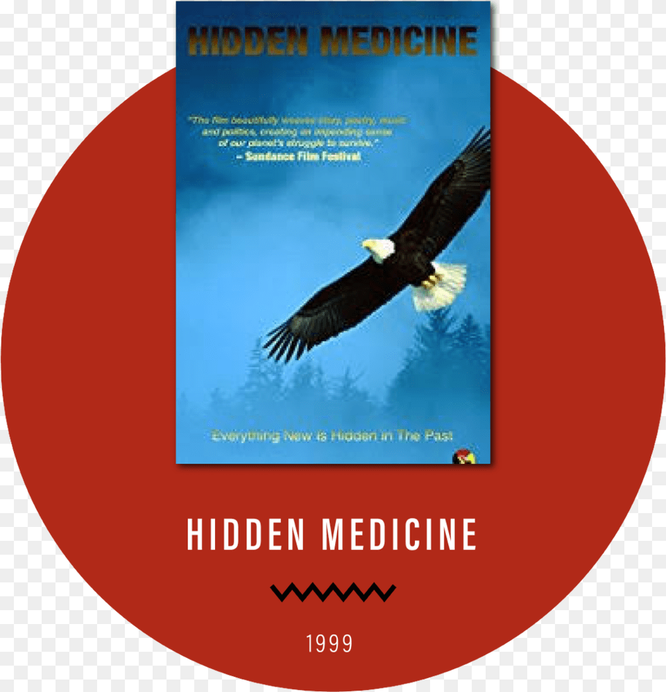 Film Card Hidden Medicine New, Animal, Bird, Eagle, Bald Eagle Free Png