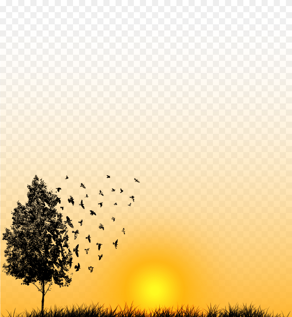 Filterfilter Sunset Flock, Tree, Sky, Plant, Outdoors Png