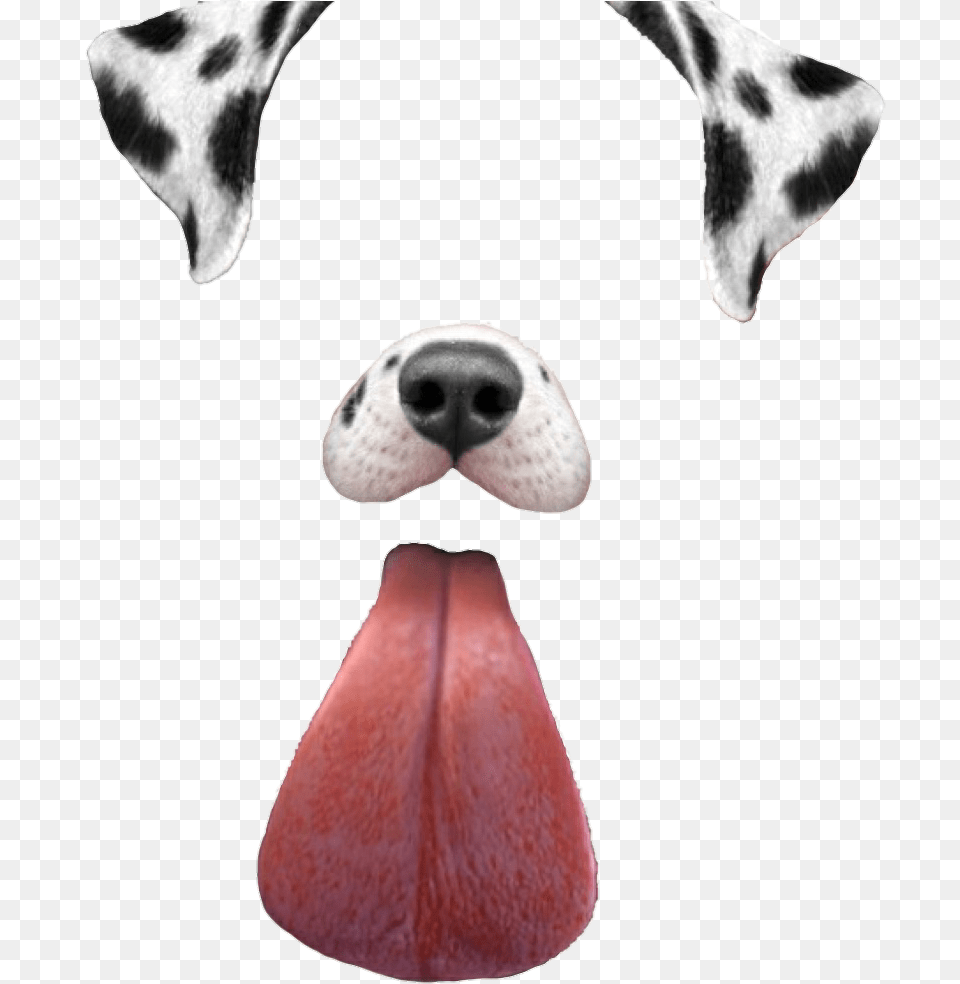 Filtros De Snapchat Perro, Body Part, Mouth, Person, Tongue Free Transparent Png