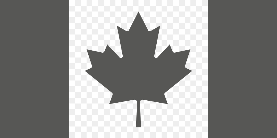 Fin Flash Of Canada Low Visibility Clipart, Leaf, Plant, Maple Leaf Png