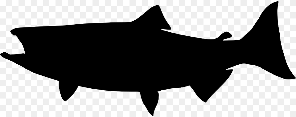 Fin King Salmon Silhouette, Gray Free Transparent Png