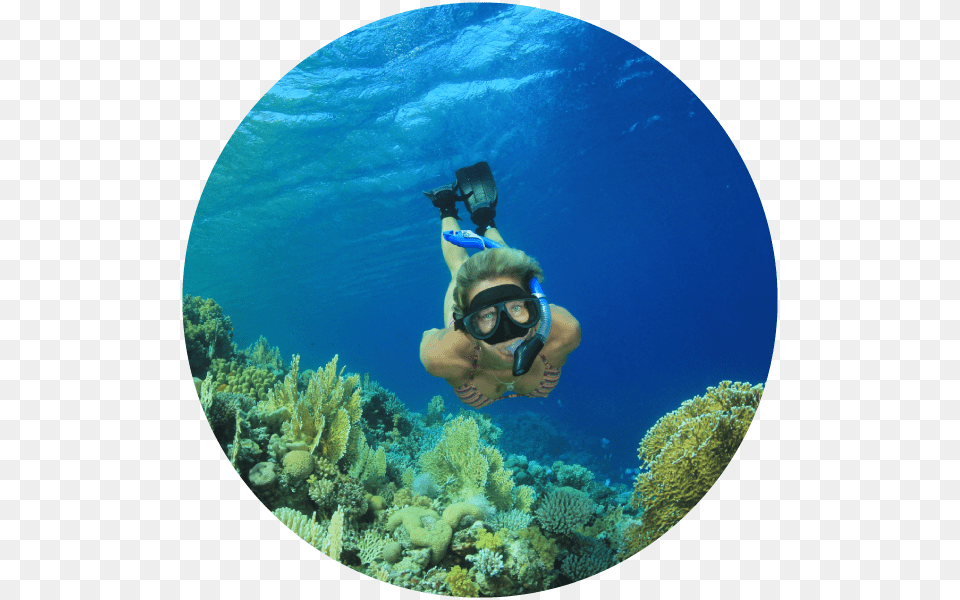 Fin Time Adventures Snorkel Vieques Image Snorkeling Lovers Beach Cabo, Water, Underwater, Outdoors, Nature Free Transparent Png