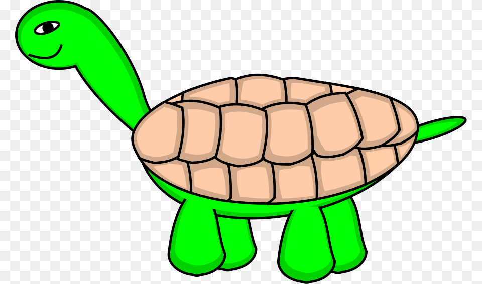 Final Cliparts, Animal, Reptile, Sea Life, Tortoise Free Transparent Png