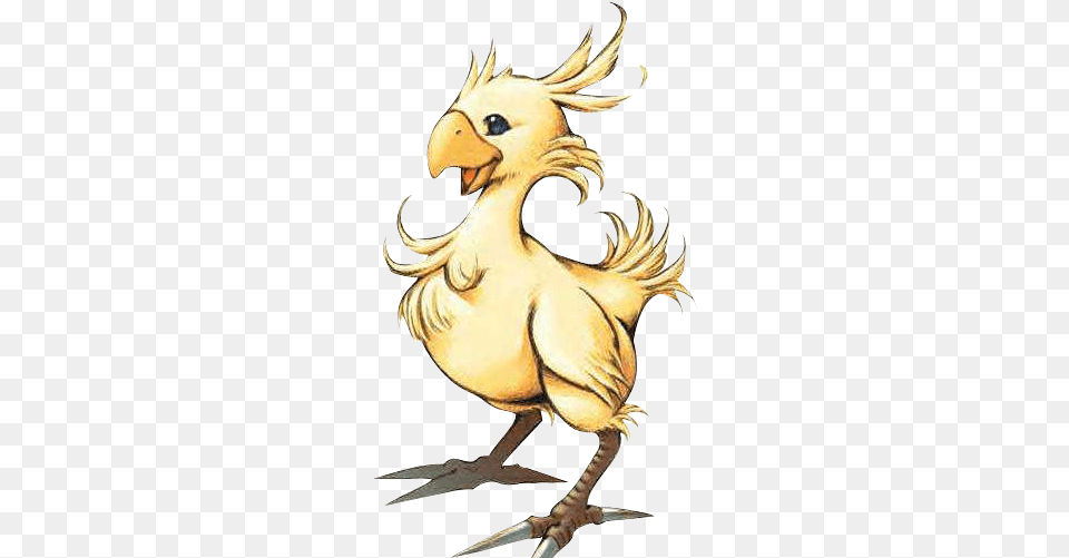 Final Fantasy Chocobo, Animal, Beak, Bird, Dodo Free Png