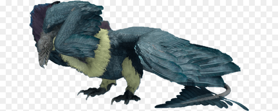 Final Fantasy Wiki Bennu Final Fantasy, Animal, Bird, Vulture, Condor Png Image