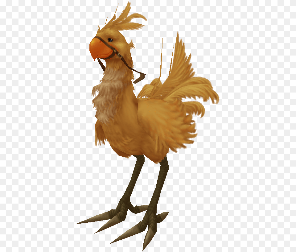Final Fantasy Wiki Chocobo Final Fantasy X, Animal, Beak, Bird, Chicken Png Image