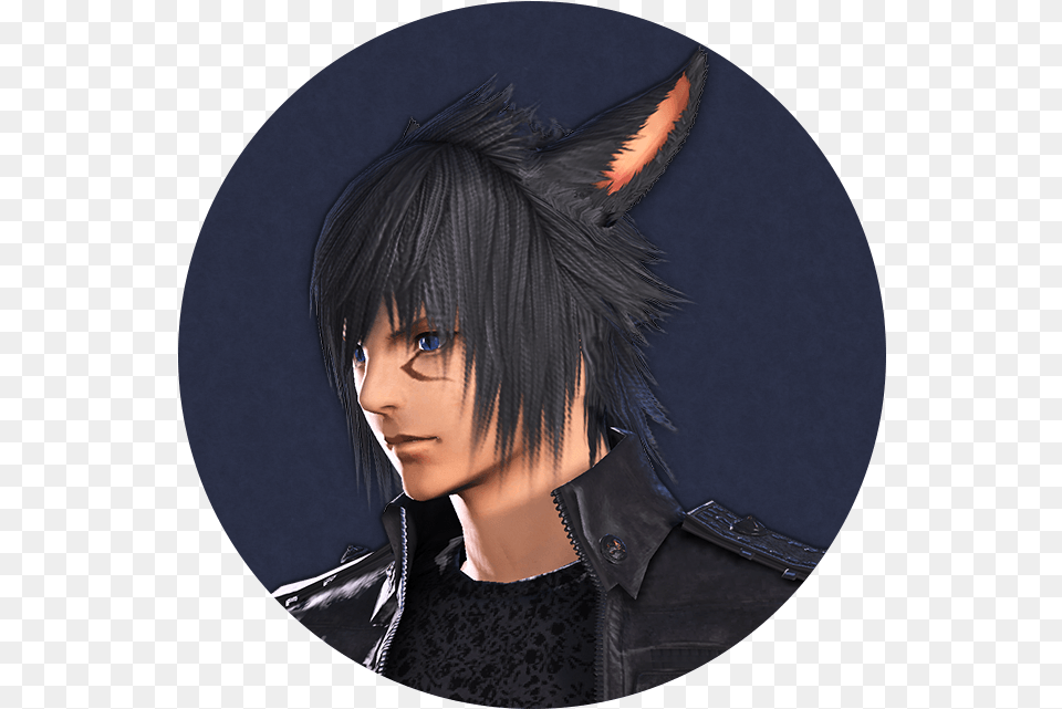 Final Fantasy Xv Collaboration Event Noctis In Final Fantasy Xiv, Publication, Book, Comics, Photography Free Png Download