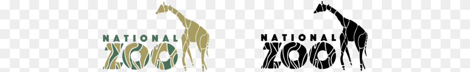 Final Logos Comp With Color 01 Giraffe, Animal, Mammal, Wildlife Free Transparent Png