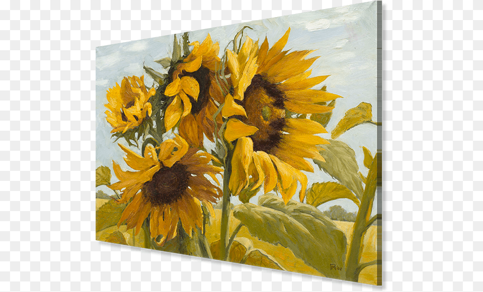Final Product Counted Cross Stitch Sunflowers In Wind 14ct, Art, Flower, Painting, Plant Png Image