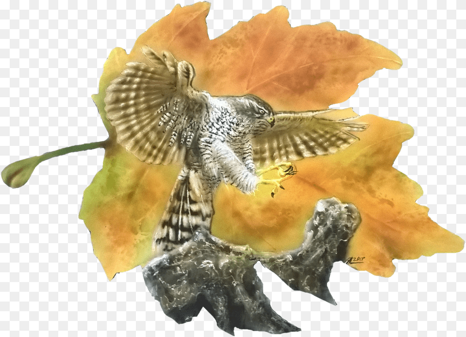 Final Ruffed Grouse, Accipiter, Animal, Bird, Leaf Png Image