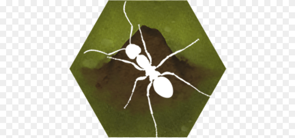 Finally Ants Apk For Android Ant, Animal, Insect, Invertebrate, Chandelier Free Transparent Png