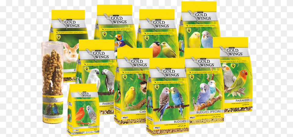 Finch, Animal, Bird, Parakeet, Parrot Free Transparent Png