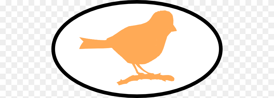 Finch Clip Art, Animal, Bird, Canary Free Png Download