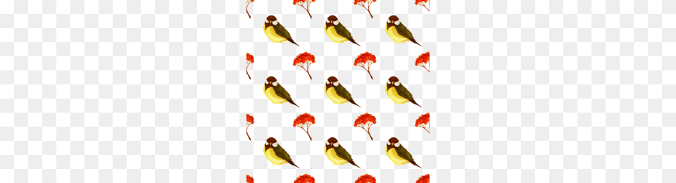 Finch Clipart, Animal, Bird, Beak Free Png Download