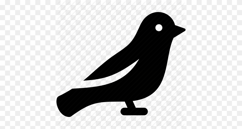Finch Clipart Sparrow, Animal, Bird, Blackbird Free Png