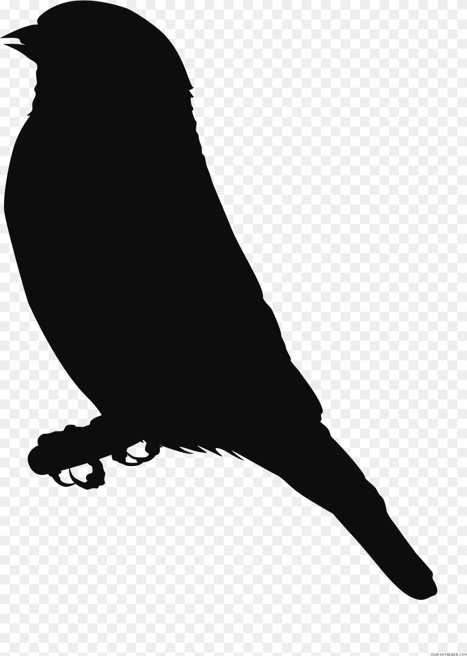 Finches Clip Art Scalable Vector Graphics Content Black Eagle Clipart, Animal, Bird, Finch, Person Png