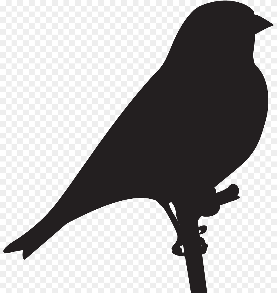 Finches Goldfinch Silhouette, Animal, Bird, Fish, Sea Life Png