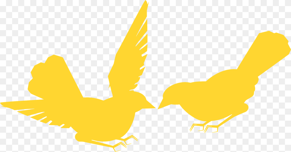 Finches Silhouette, Animal, Bird, Fish, Sea Life Png Image