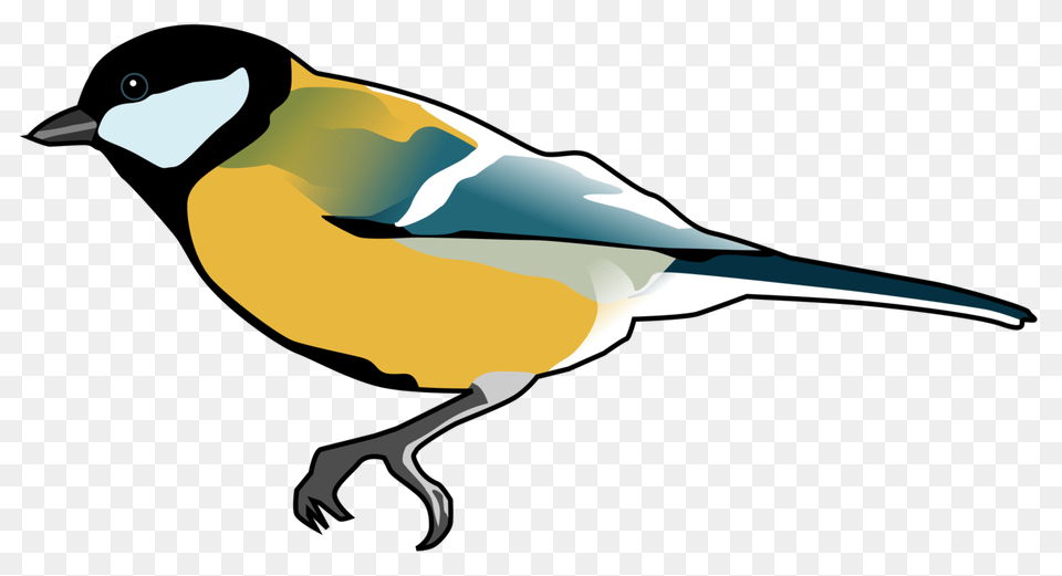 Finches Songbird Drawing Computer Icons, Animal, Bird, Finch, Beak Free Png