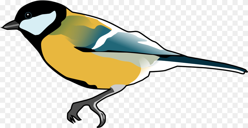 Finches Songbird Drawing Computer Icons Cc0 Tit Bird Tit Bird Svg, Animal, Finch, Beak, Fish Free Png