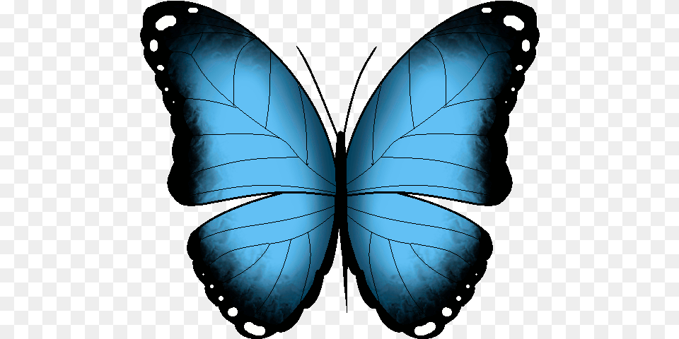 Find Make For Butterfly Animated Gif Transparent 110yll Transparent Butterfly Gif, Leaf, Plant, Animal, Insect Png