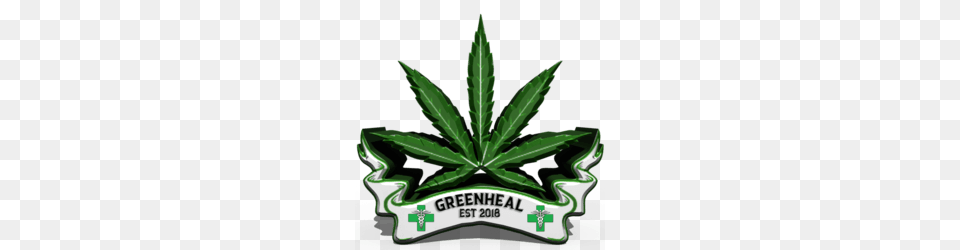 Find Marijuana Dispensaries Brands Delivery Deals Doctors, Plant, Weed, Herbal, Herbs Free Transparent Png