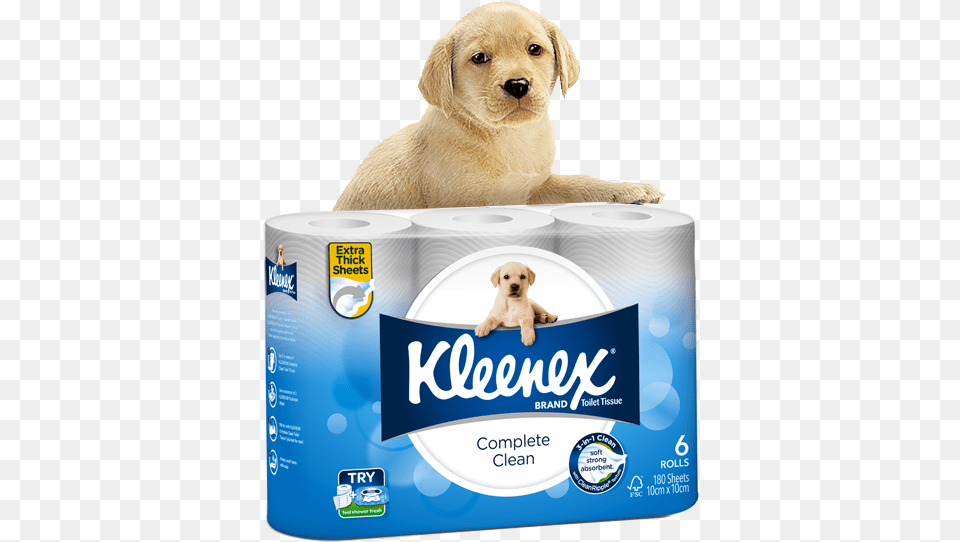 Find Out More Kleenex Complete Clean Toilet Paper, Towel, Pet, Animal, Mammal Png Image