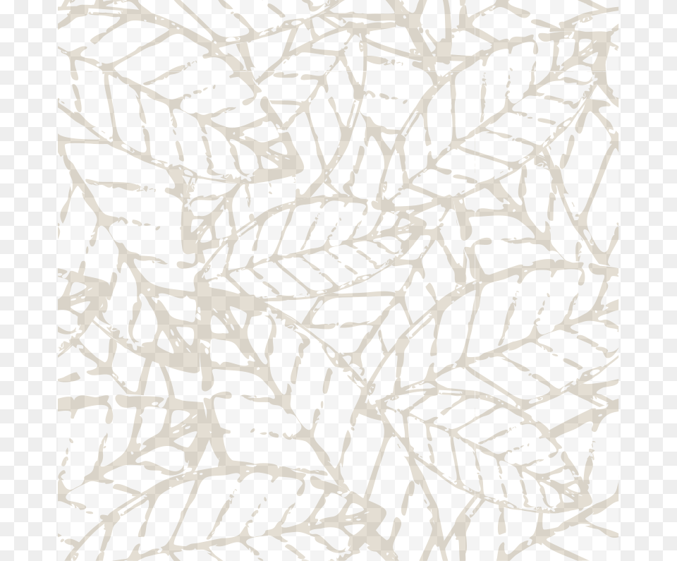 Find Out What It Means To Us, Leaf, Pattern, Plant Free Png