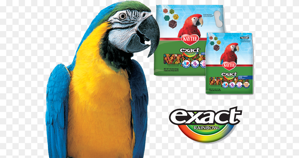 Find The Exact Formula For Your Feathered Friend Extruded Bird Supply, Animal, Macaw, Parrot Free Png