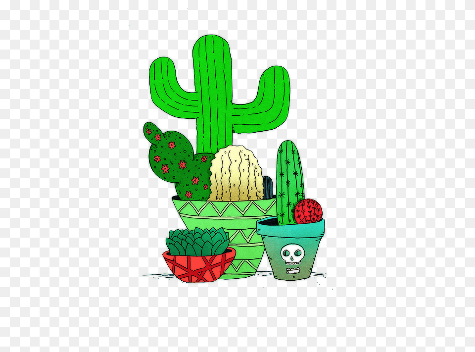 Find This Pin And More On By Agustinaarana23 Overlays Transparent Tumblr, Cactus, Plant Png Image