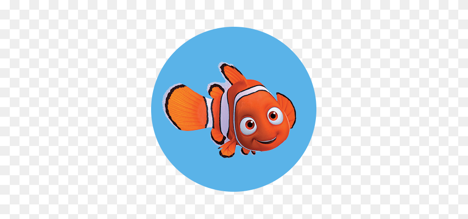 Finding Dory, Amphiprion, Animal, Fish, Sea Life Png
