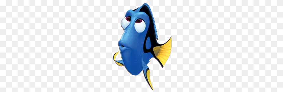 Finding Nemo, Animal, Fish, Sea Life, Angelfish Free Png Download