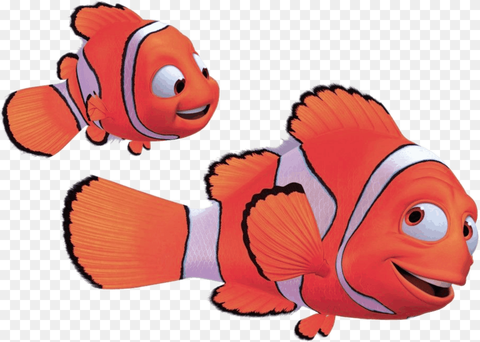 Finding Nemo, Animal, Fish, Sea Life, Maroon Png