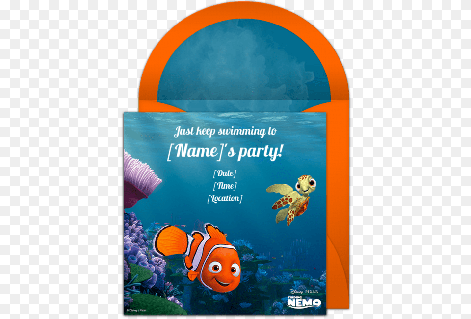 Finding Nemo, Water, Amphiprion, Animal, Turtle Png