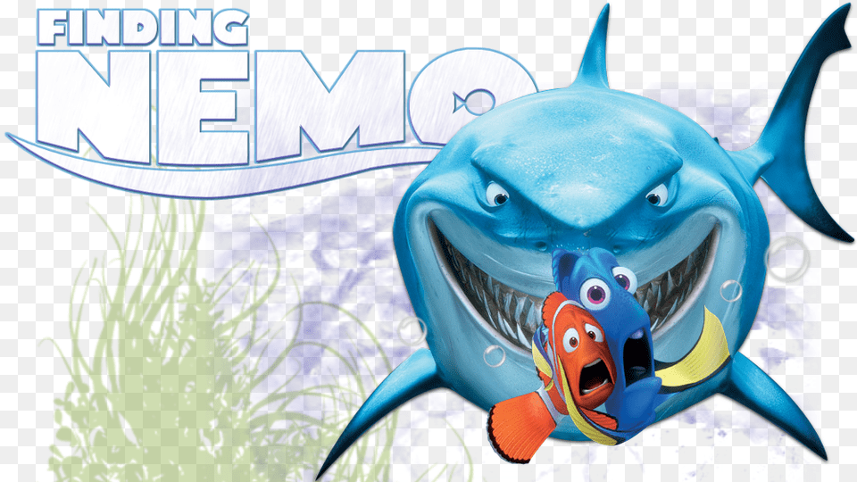 Finding Nemo 3d, Animal, Fish, Sea Life, Shark Free Png