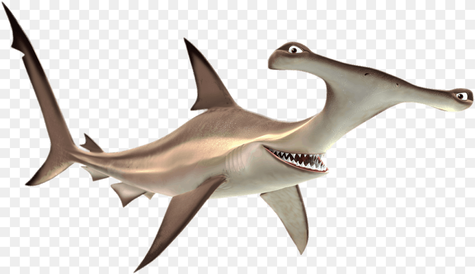 Finding Nemo Anchor The Shark Image Finding Nemo Hammerhead Shark, Animal, Fish, Sea Life Png