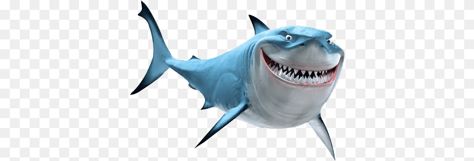 Finding Nemo Marlin Bruce Pixar Clip Art Bruce Finding Nemo, Animal, Sea Life, Fish, Shark Png