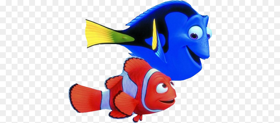 Finding Nemo Photo Finding Nemo, Animal, Fish, Sea Life, Angelfish Png Image