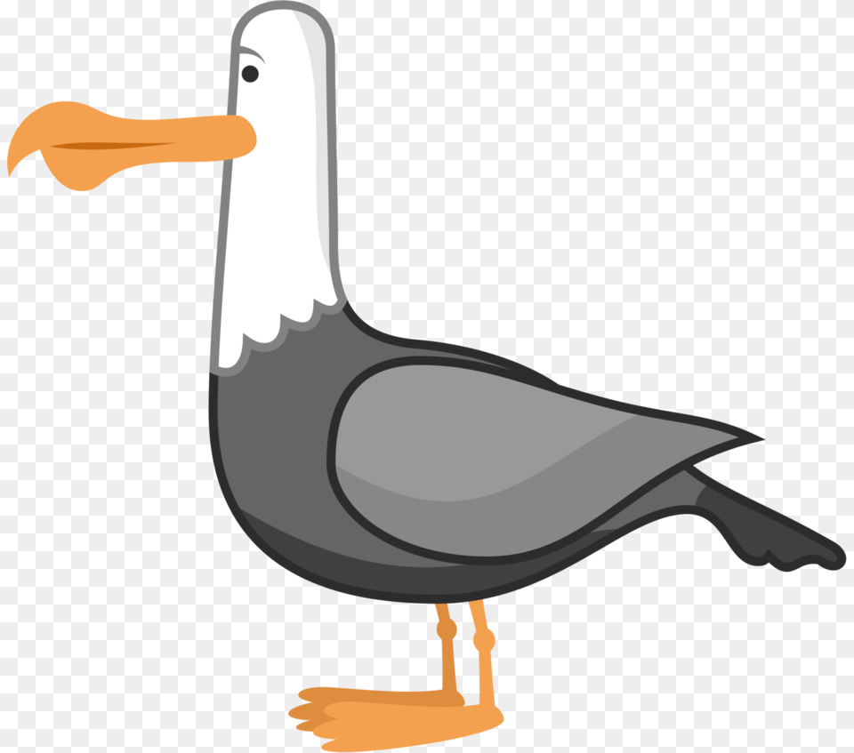 Finding Nemo Seagull Finding Nemo Seagulls, Animal, Bird, Waterfowl, Beak Png