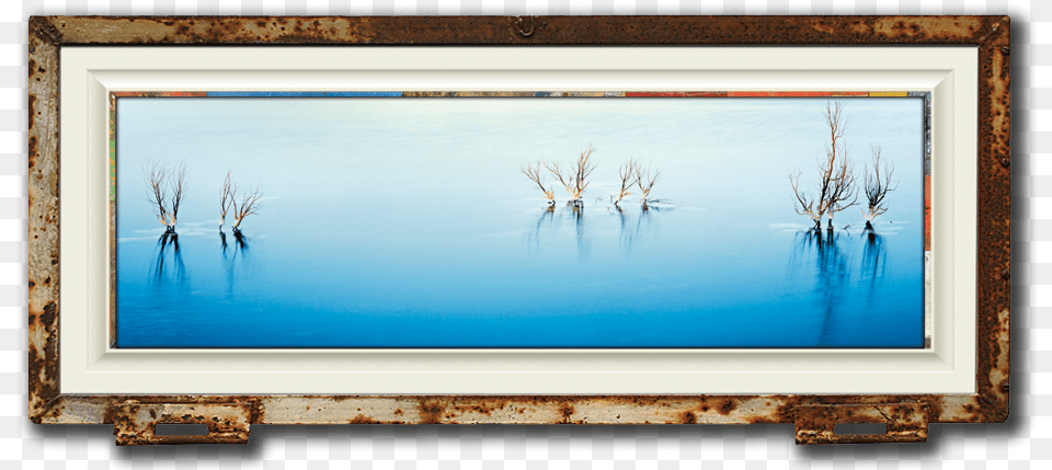 Fine Art Photo Of Tamarisk Trees In Dead Sea Israel Sea, Water, Outdoors, Nature, Computer Hardware Png Image