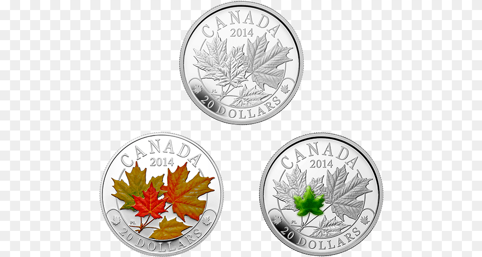Fine Silver 3 Coin Subscription Majestic Maple Leaves Maple Leaf, Plant, Money Png Image