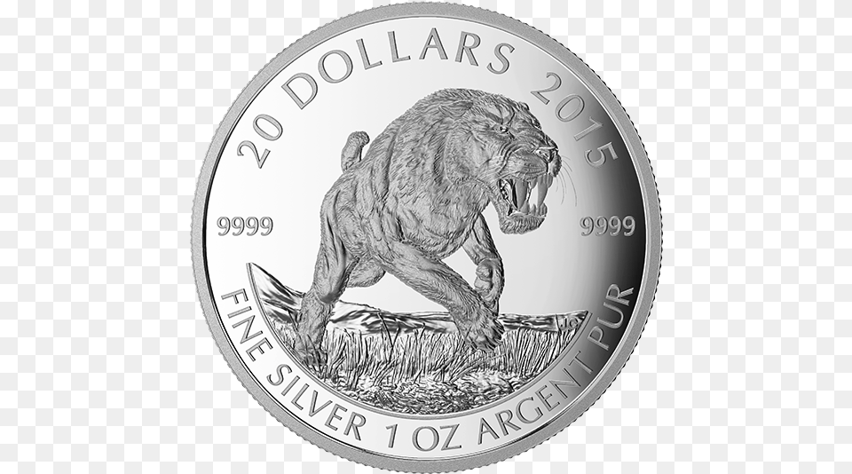 Fine Silver Coin 20 Dollar Canadian Saber Tooth Tiger Silver Coin, Money, Nickel, Animal, Lion Png