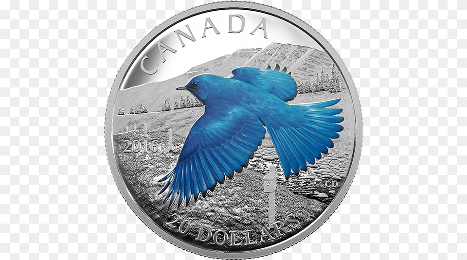 Fine Silver Coloured Coin Colourful Birds Of Canada Mountain Bluebird, Animal, Bird, Money Png