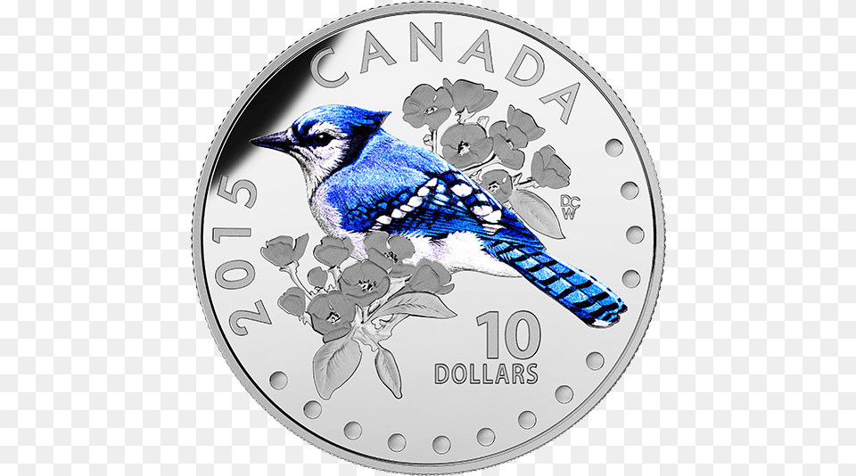 Fine Silver Coloured Coin Colourful Songbirds Of Canada Blue Jays Silver Coin, Animal, Bird, Jay, Blue Jay Free Transparent Png