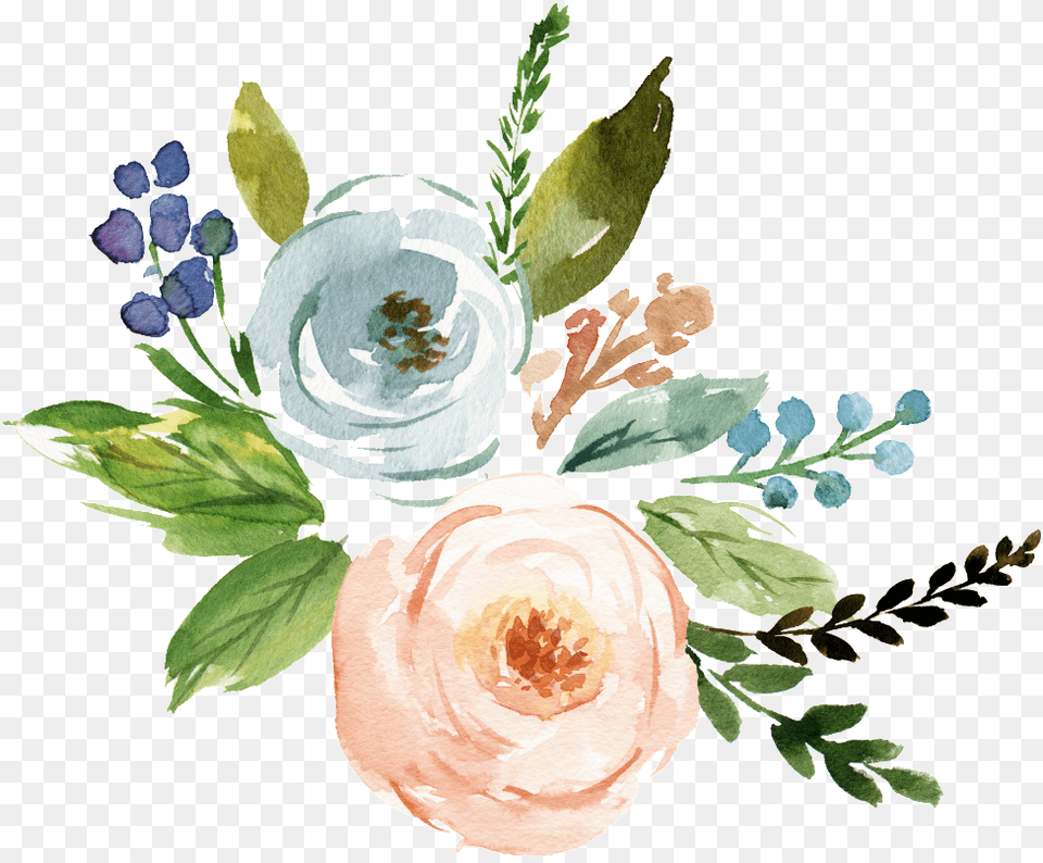 Fine Watercolor Flower Transparent Watercolor Flower Vector, Art, Plant, Pattern, Graphics Free Png