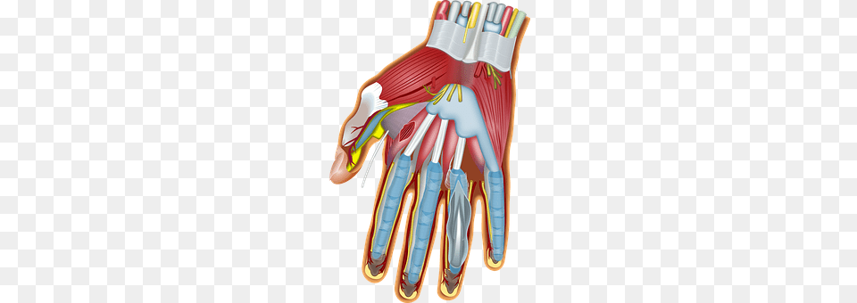 Finger Clothing, Glove Free Png