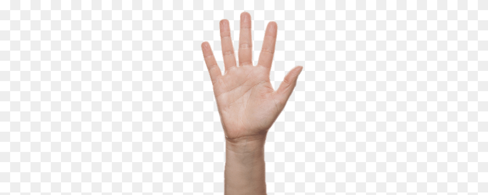Finger Counting Five Copy, Body Part, Hand, Person, Wrist Free Png Download