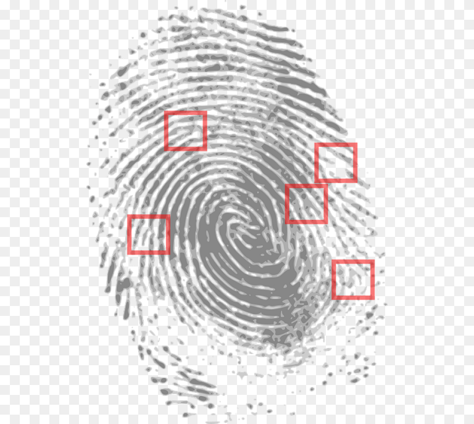 Finger Print Analysis, Nature, Outdoors, Ripple, Water Free Transparent Png