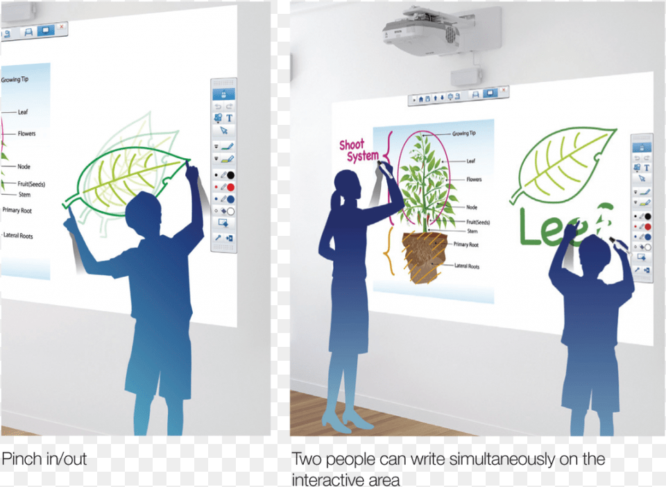 Finger Touch, White Board, Adult, Female, Person Free Png